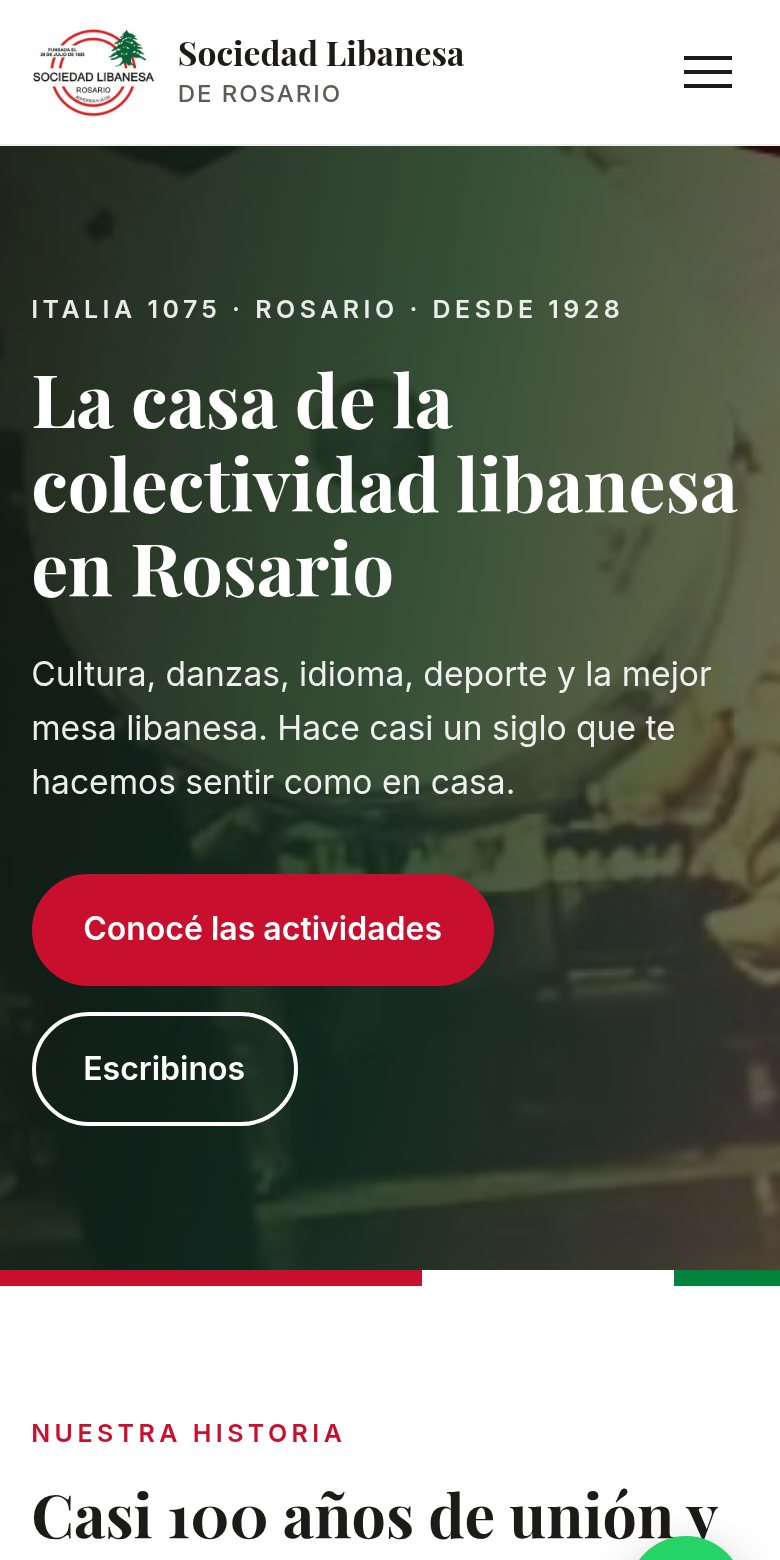 La misma web vista en un celular